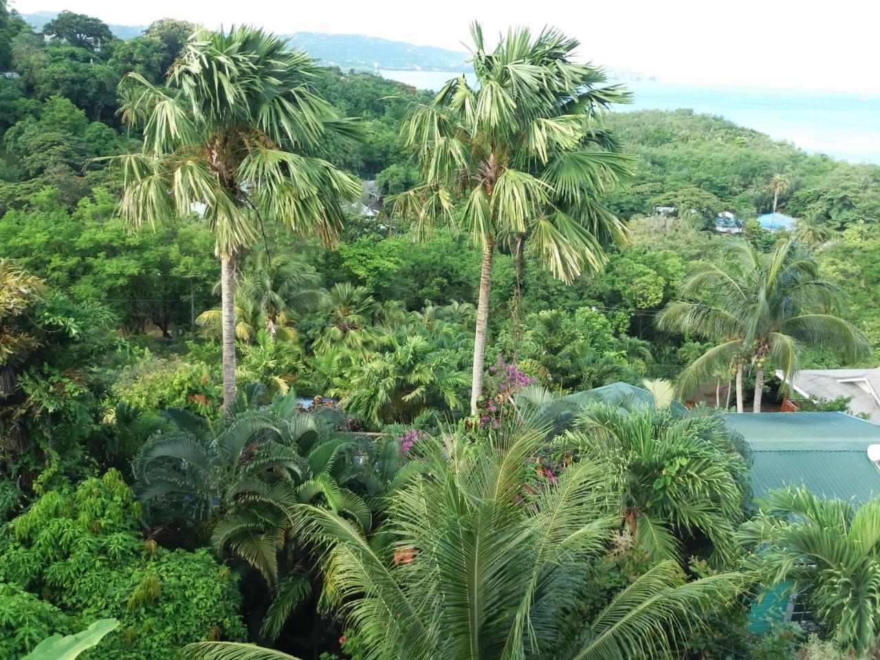 Apartment Espoir Castries Kültér fotó